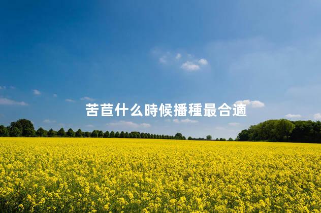 苦苣什么時候播種最合適 苦苣種子催芽方法
